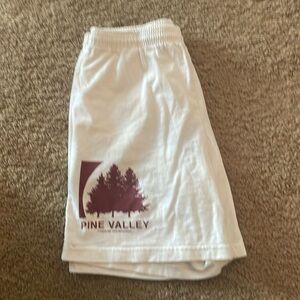 Basket case pull on shorts  in EUC